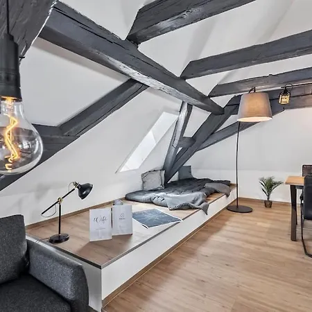 Daire Nuvana Flats - Loft 522 Dachterrasse Mit Altstadtflair Ansbach