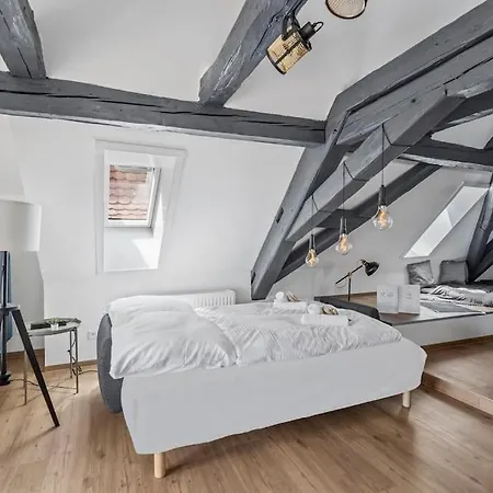 Daire Nuvana Flats - Loft 522 Dachterrasse Mit Altstadtflair
